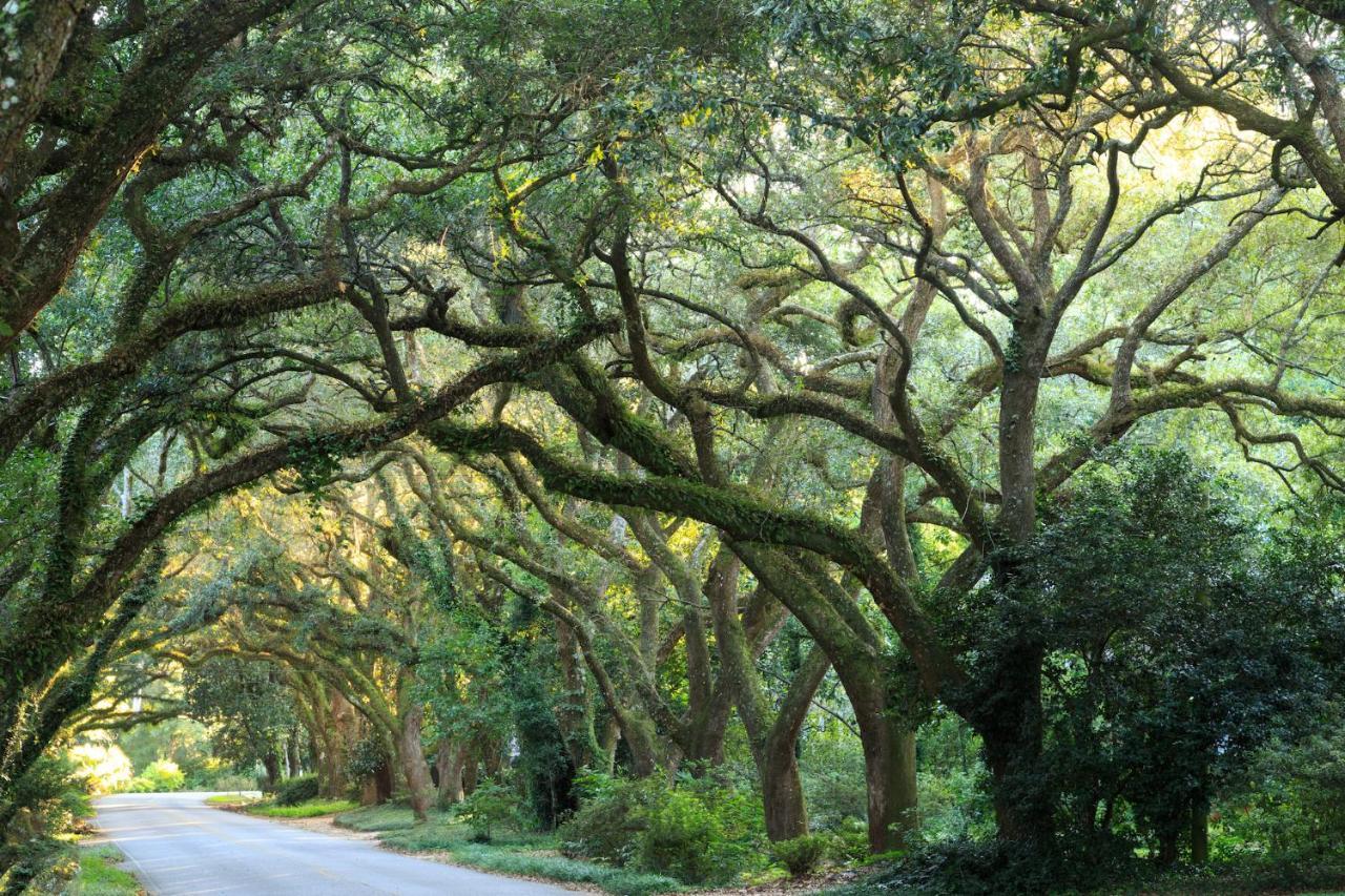 Magnolia Springs Bed And Breakfast Exterior foto